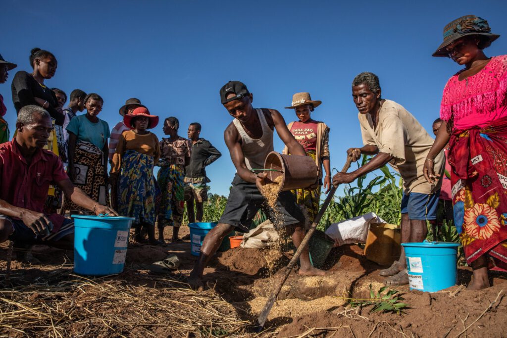 Community members receive drought-resistant seeds and learn agricultural techniques to enhance resilience to climate shocks during a farmers' field school in Manalobe, Western Southern Madagascar.  